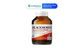 Blackmores Glucosamine Sulfate 1500 One-A-Day (90x15)
