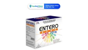 Viên uống phục hồi cân bằng hệ vi khuẩn đường ruột ENTERO Plus (Hộp 100 viên)