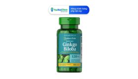 Ginkgo Biloba 120 mg Puritan's Pride viên uống hỗ trợ tuần hoàn não hộp 100 viên 